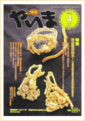 情報やいま　2000年4月号　特集「商店街再発見！石垣市商店街空き店舗対策事業報告」