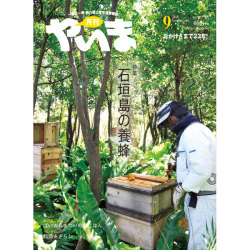 月刊やいま　2015年9月号　NO260　特集「石垣島の養蜂」