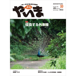 202210表紙