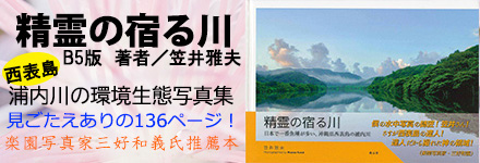 精霊の宿る川 バナー
