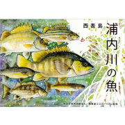 西表島　浦内川の魚