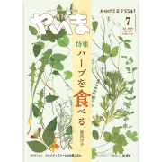 やいま202607