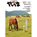 月刊やいま　2013年12月号　NO241　特集「与那国島の暮らし」