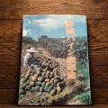 沖縄パイン産業史