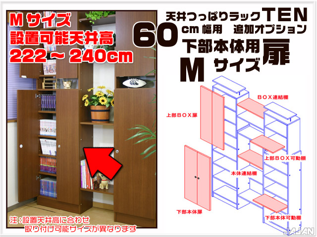 天井つっぱりラックＴＥＮ　専用オプション　60cm幅用　下部本体用扉