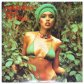 ブラジル・ワンス・アゲイン／ハービー・マン（中古LP）
