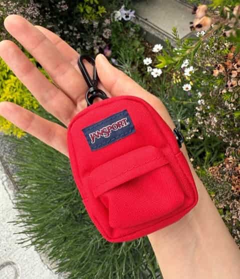 MINI BREAK（ミニ ブレイク）RED TAPE (赤) |【公式通販】JANSPORT