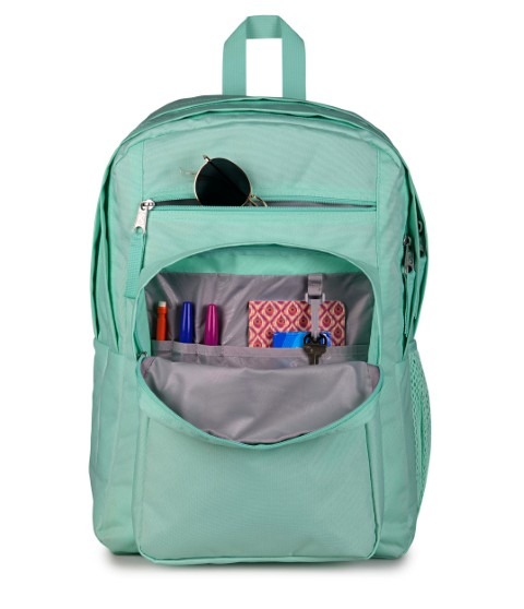 【ジャンク品】 ぴゅう太 ソフト ジャングラー JUNGLER 15 BIG STUDENT（ビッグステューデント）MAGIC MINT |【公式通販