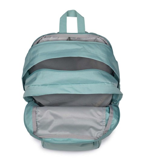 BIG STUDENT（ビッグステューデント）FADED SAGE (緑) |【公式