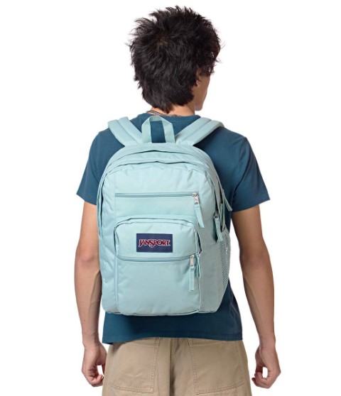 BIG STUDENT（ビッグステューデント）FADED SAGE (緑) |【公式