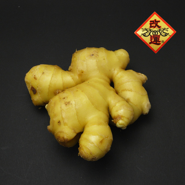 【発送日限定／届日指定不可】風水専用の生姜（200g前後）(f50221h)