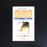誰も書かなかった！！パワーストーン運命印鑑【メール便可】(book012)
