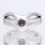 進化した細胞 ステイシー ver.