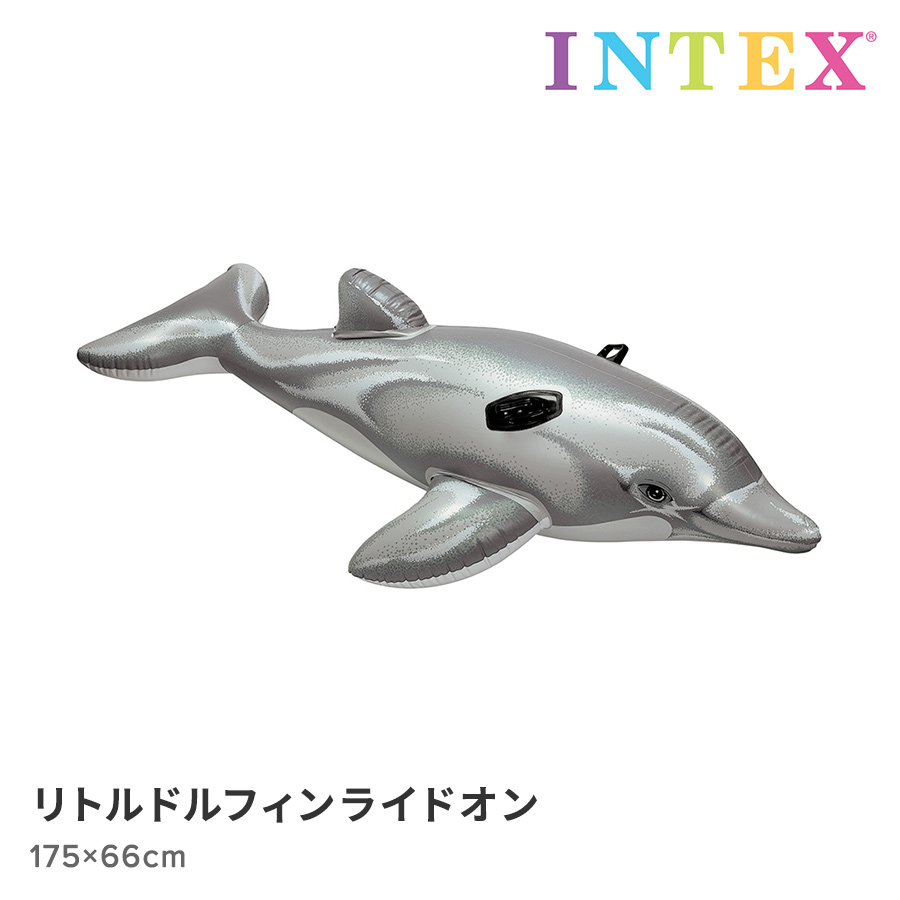 リトルドルフィンライドオン　175×66cm