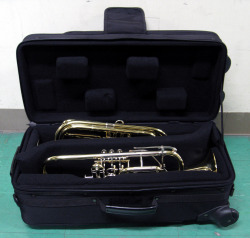 Protec IP-301DWL キャスター付　2本用ケース