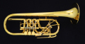 Votruba C管 GP 2024 1