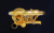 Votruba B管 GP 2025-7