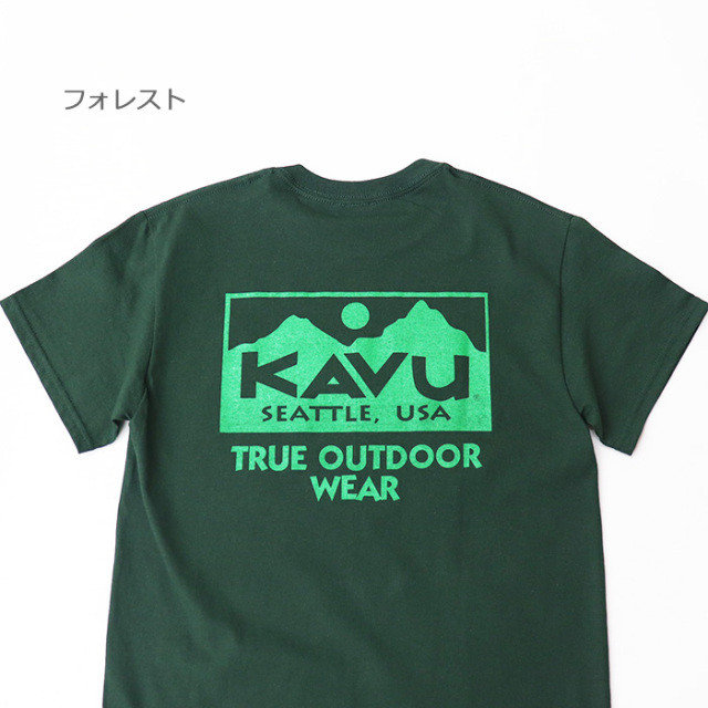 KAVU カブー カブー メンズ トゥルーロゴ Tシャツ 19822032