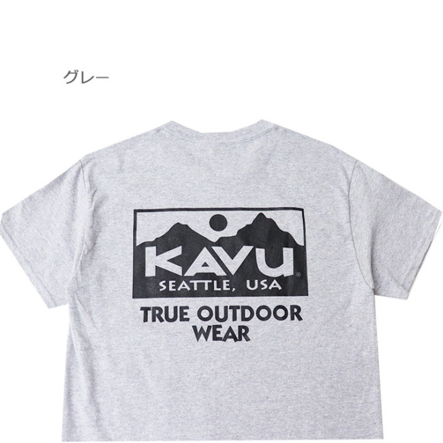 KAVU カブー カブー メンズ トゥルーロゴ Tシャツ 19822032