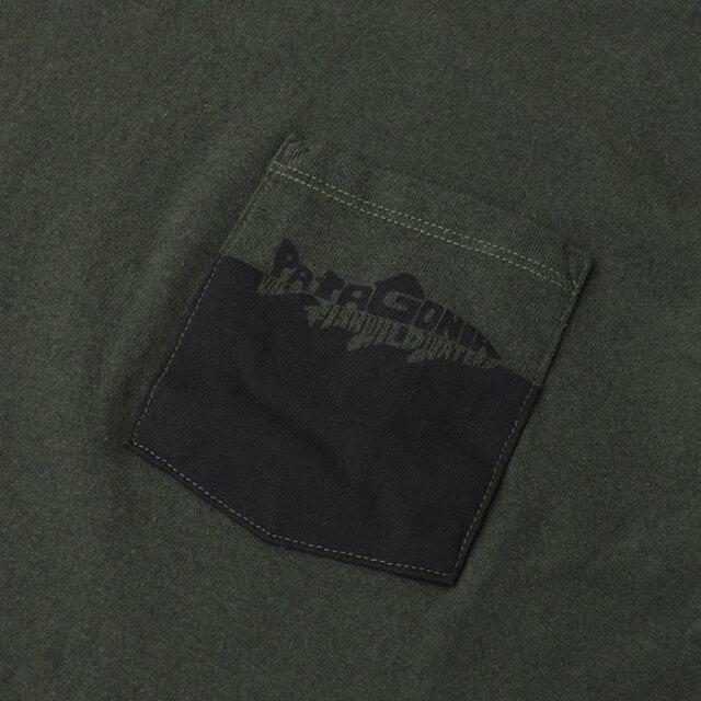 patagonia,パタゴニア,半袖Tシャツ,37549
