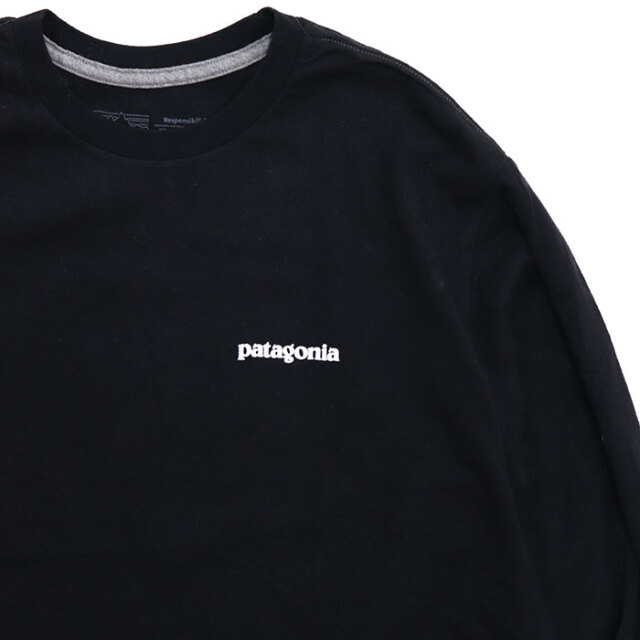 patagonia,パタゴニア,長袖Tシャツ,37574