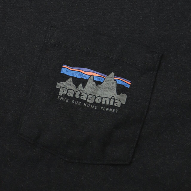 patagonia,パタゴニア,長袖Tシャツ
