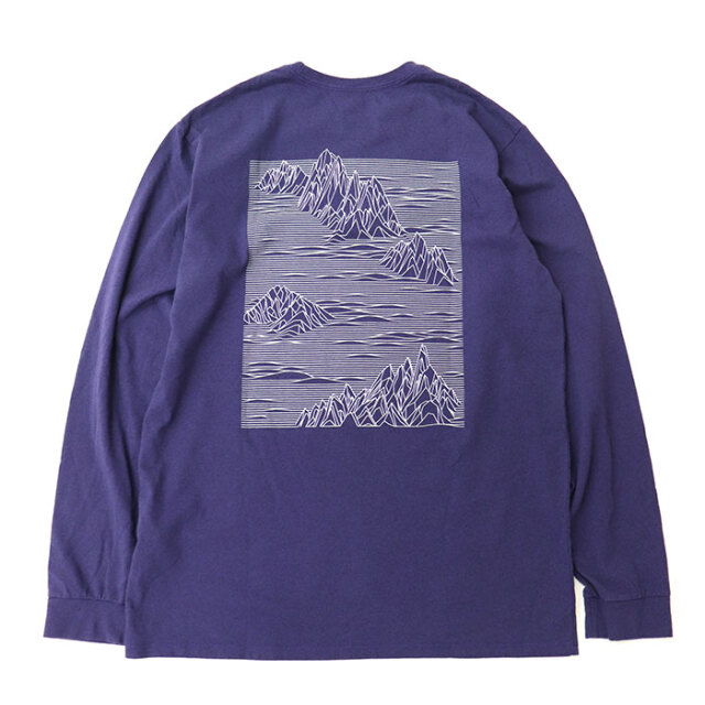 patagonia,パタゴニア,長袖Ｔシャツ,37840