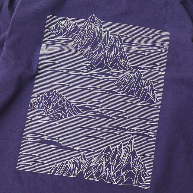 patagonia,パタゴニア,長袖Ｔシャツ,37840