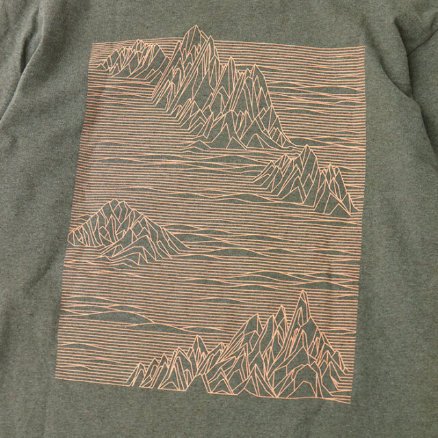 patagonia,パタゴニア,長袖Ｔシャツ,37840