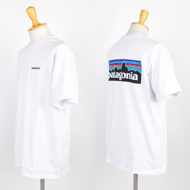 patagonia,パタゴニア,P-6ロゴTee,38504