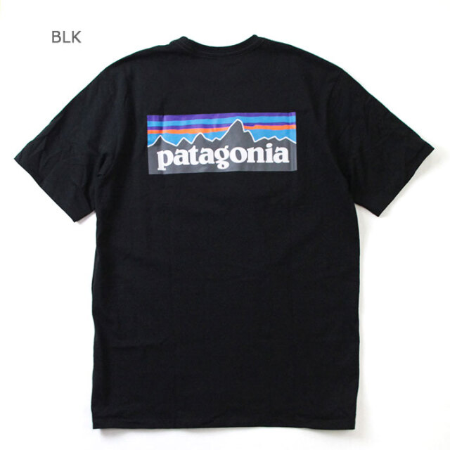 patagonia,パタゴニア,P-6ロゴTee,38504