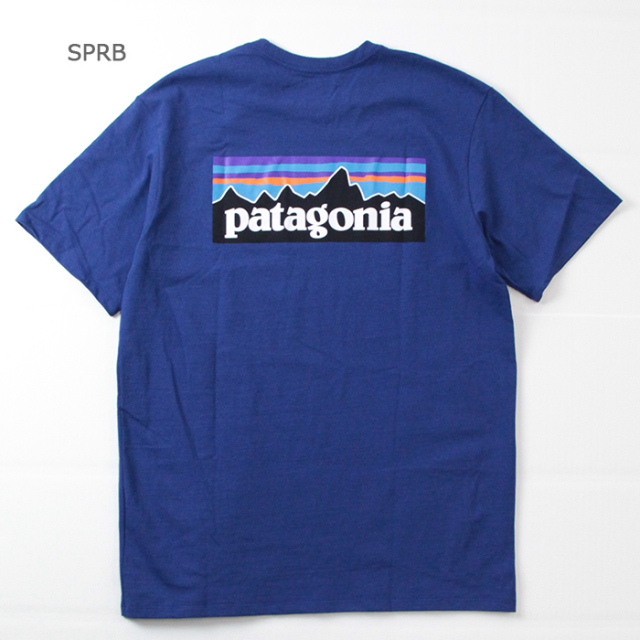 patagonia,パタゴニア,P-6ロゴTee,38504