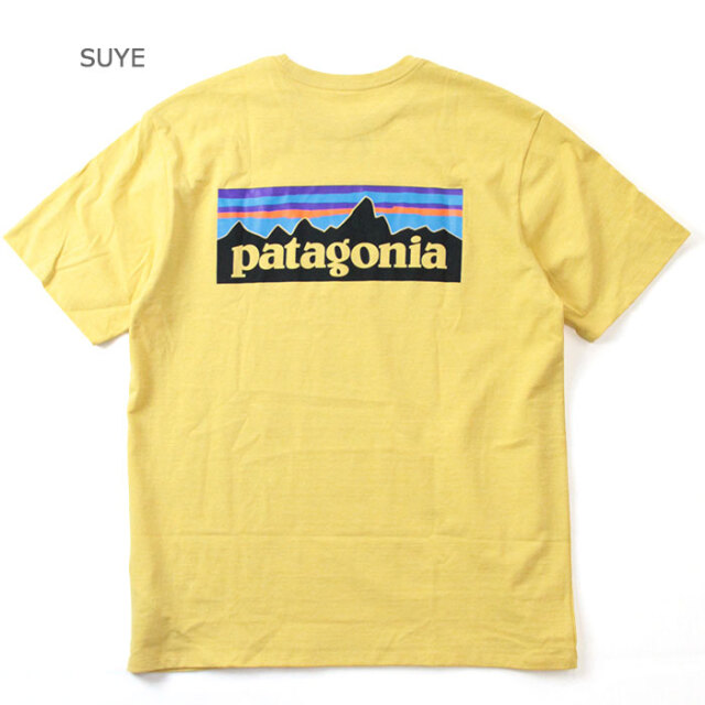 patagonia,パタゴニア,P-6ロゴTee,38504