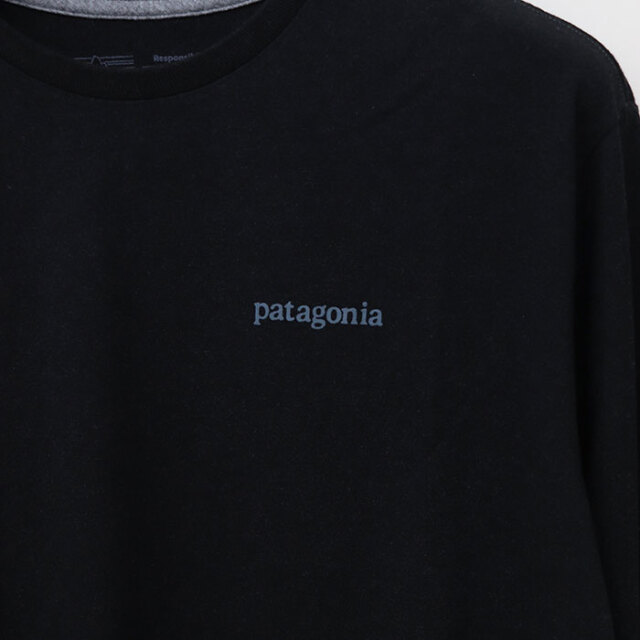 patagonia,パタゴニア,長袖Tシャツ