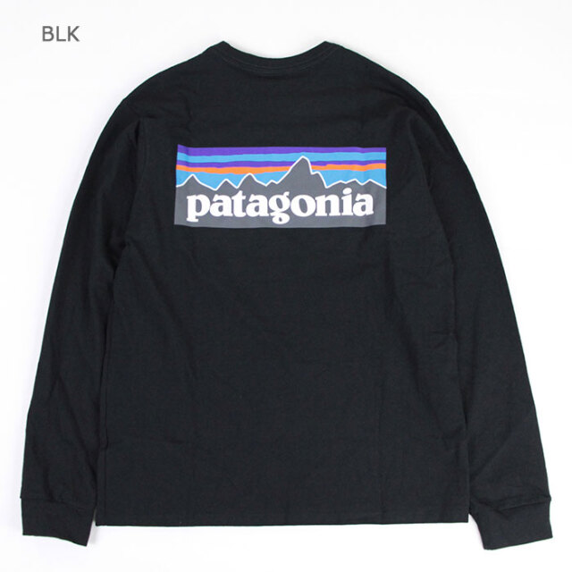patagonia,パタゴニア,長袖Tシャツ,38518