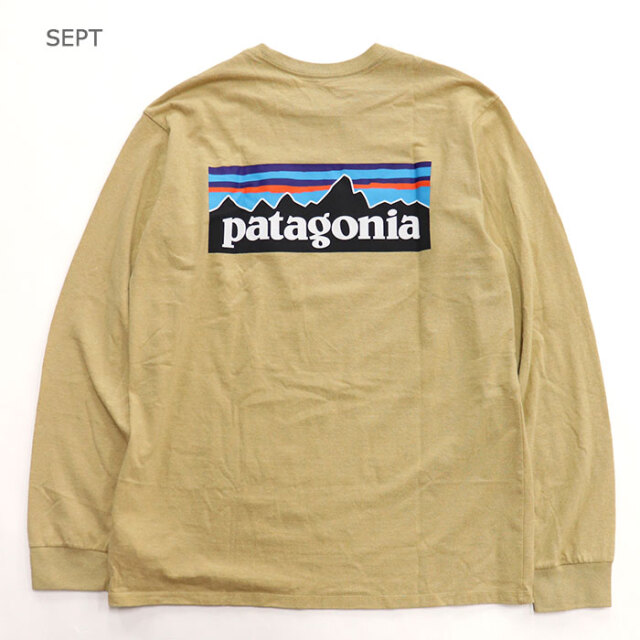 patagonia,パタゴニア,長袖Tシャツ,38518
