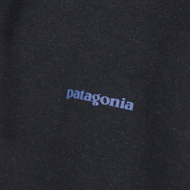 patagonia,パタゴニア,スウェット,プルパーカー,39665