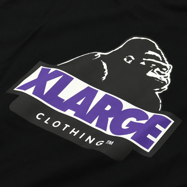 XLARGE,エクストララージ,Tシャツ,半袖,101252011010