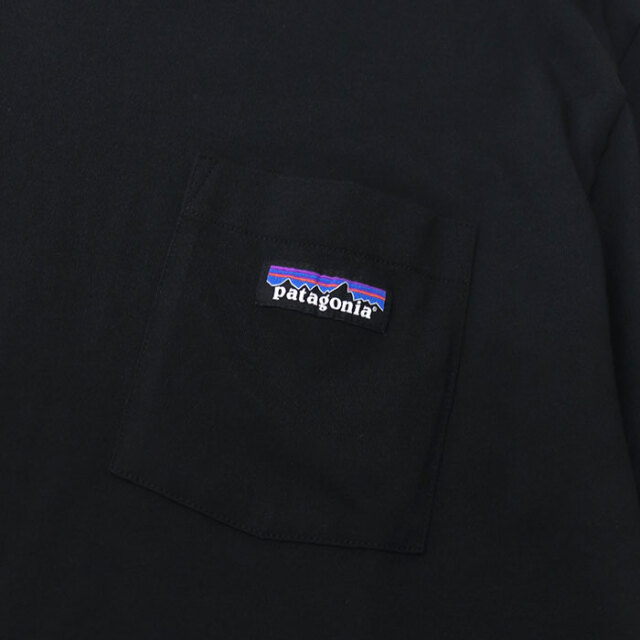 patagonia,パタゴニア,半袖Tシャツ,53255