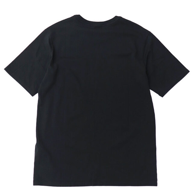 patagonia,パタゴニア,半袖Tシャツ,53255