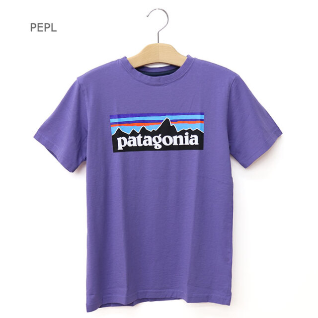 patagonia,パタゴニア,キッズ,半袖Tシャツ,62163