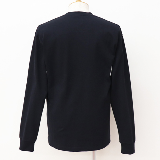 THE NORTH FACE ザ・ノースフェイス LS Nuptse Cotton Tee ロングスリーブヌプシコットンティー NT32443