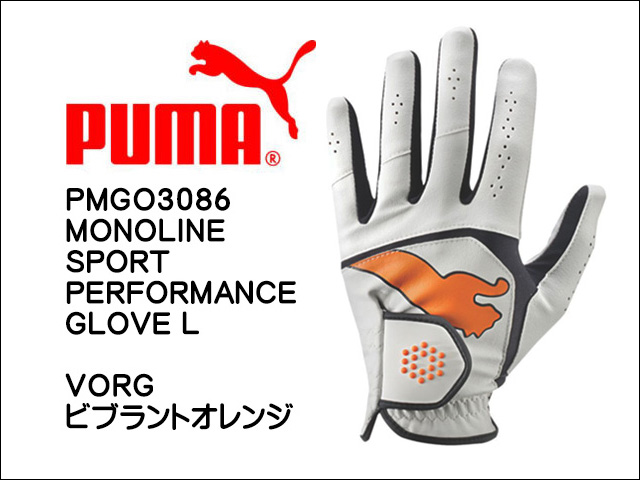pmgo3086-vorg