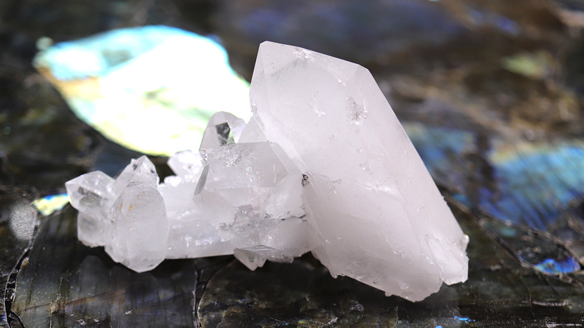 アーカンソー産クラスターSA035