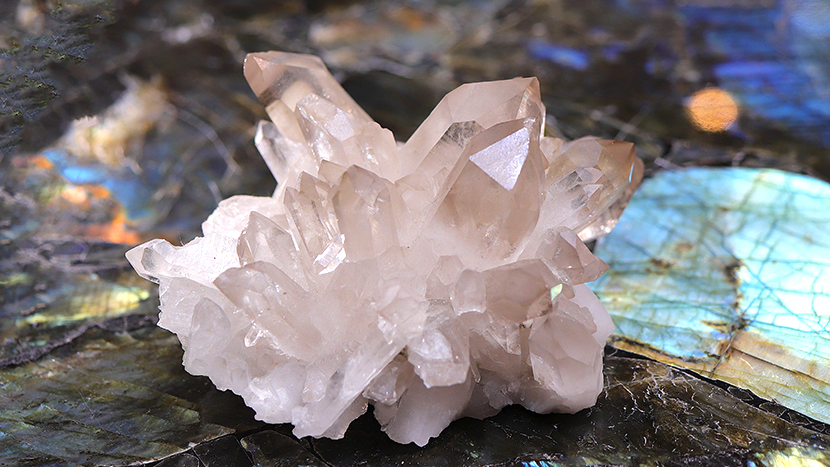 アーカンソー産クラスターSA036