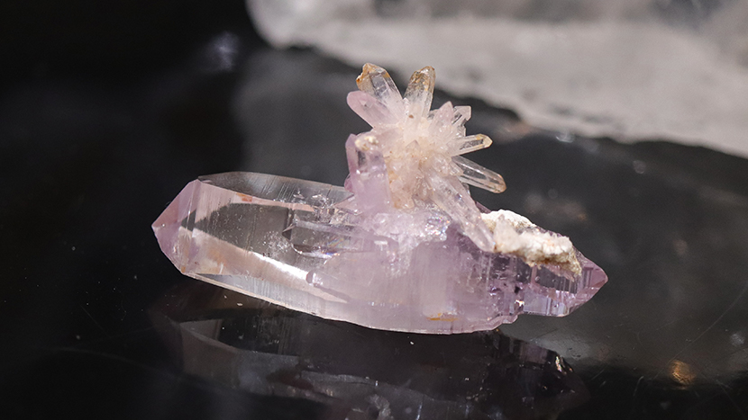 ベラクルスアメジスト SP2