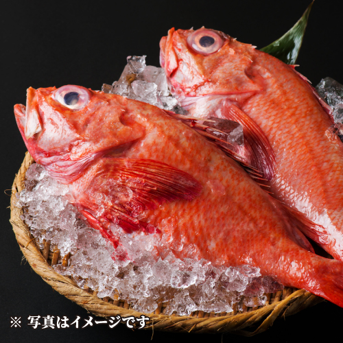 きんき