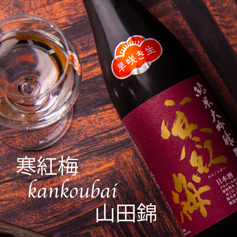 寒紅梅　寒紅梅酒造　三重県　日本酒　通販　伊勢鳥羽志摩