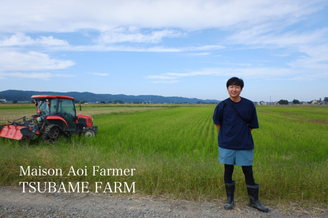 Maison Aoi メゾンアオイ Farmer 新保 五百万石 火入れ | 葵酒造 新潟