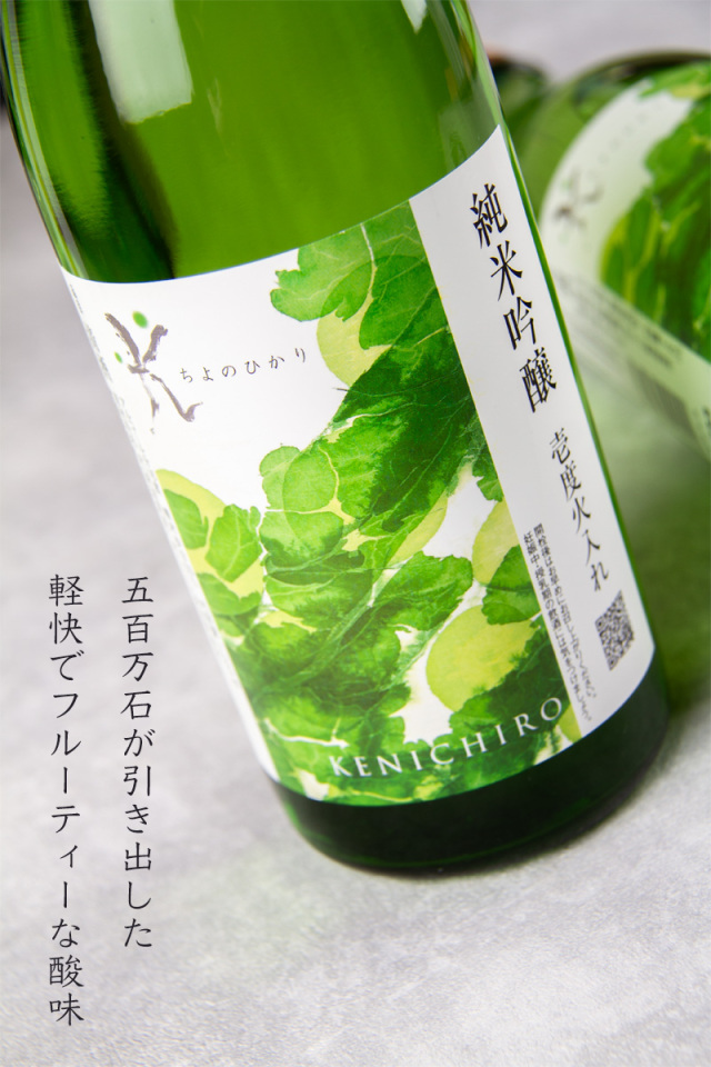 黒木国昭 手吹ガラス 酒器 金彩「光琳」 – Gallery Nisui